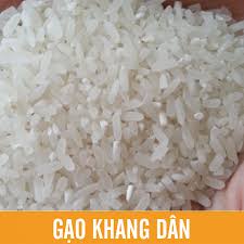 GẠO KHANG DÂN BẮC